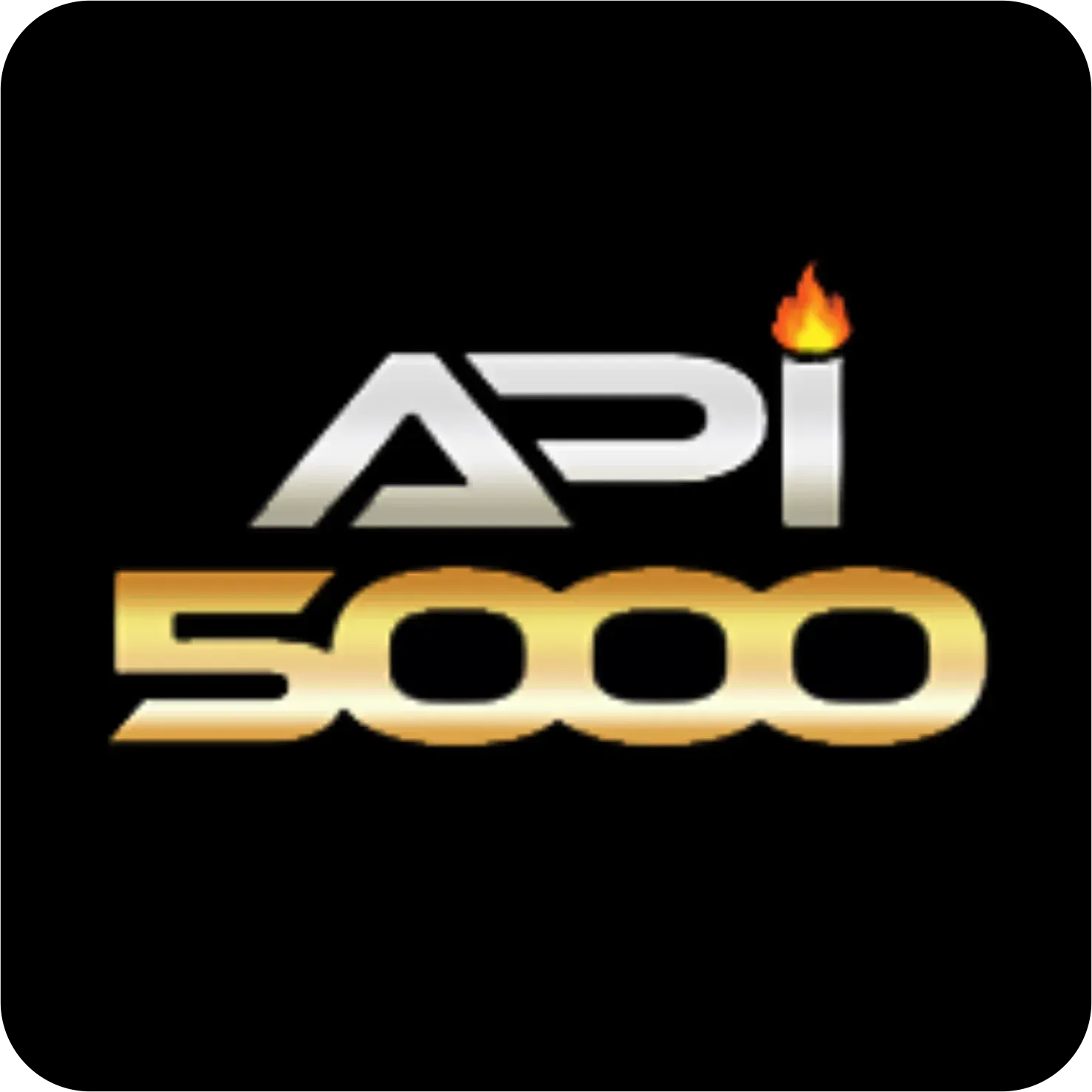 API5000 - Petualangan Seru dalam Permainan TPS